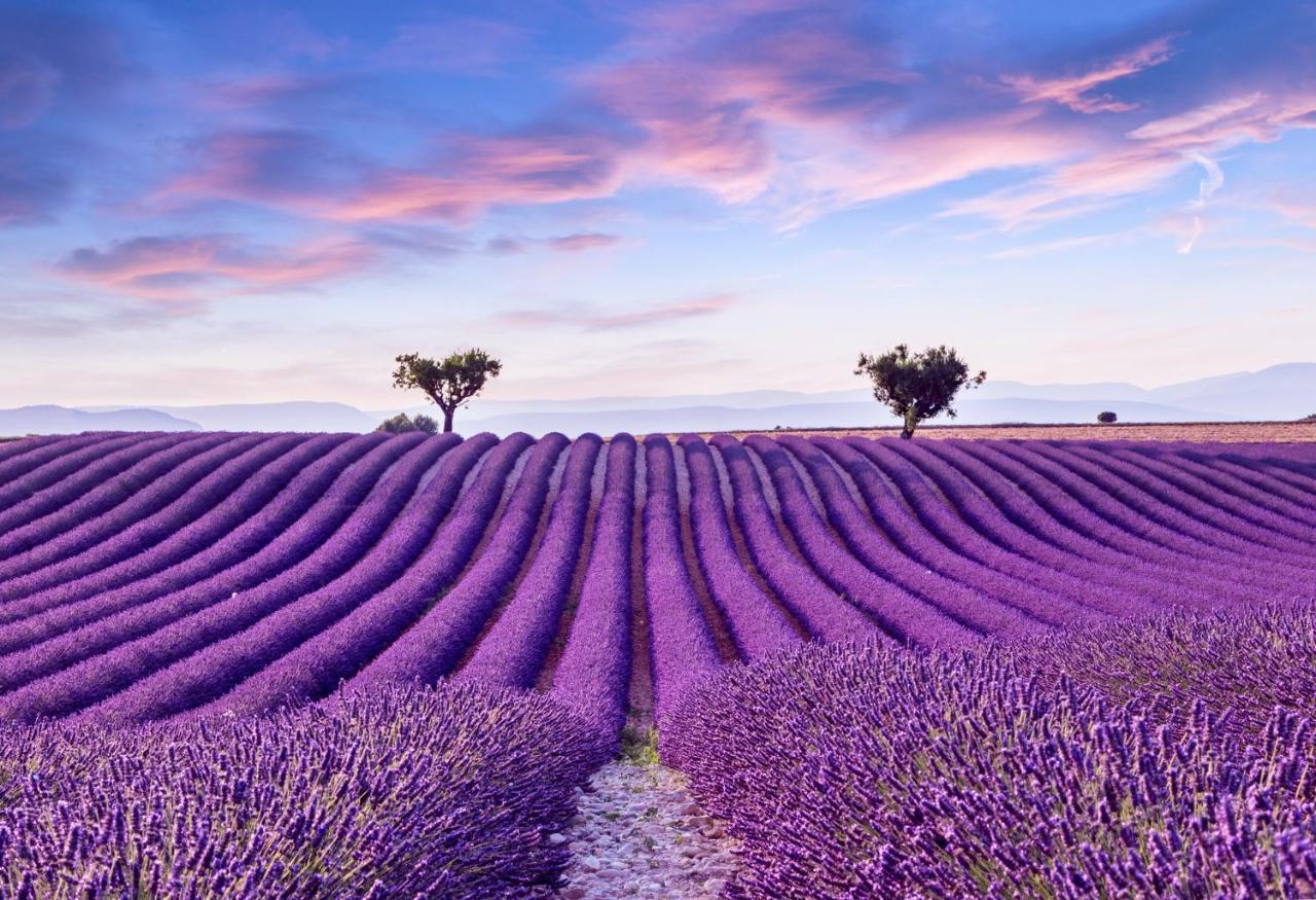 La Maison Des Collines Allemagne-en-Provence Zewnętrze zdjęcie